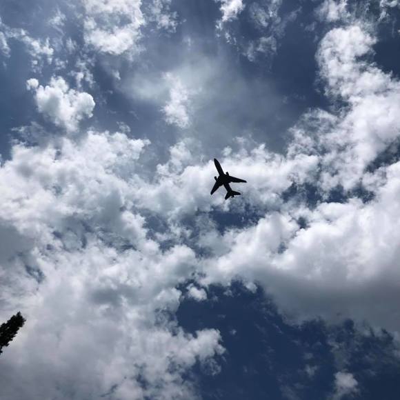 Meet your Posher, Kadence - Picture 1 of 1